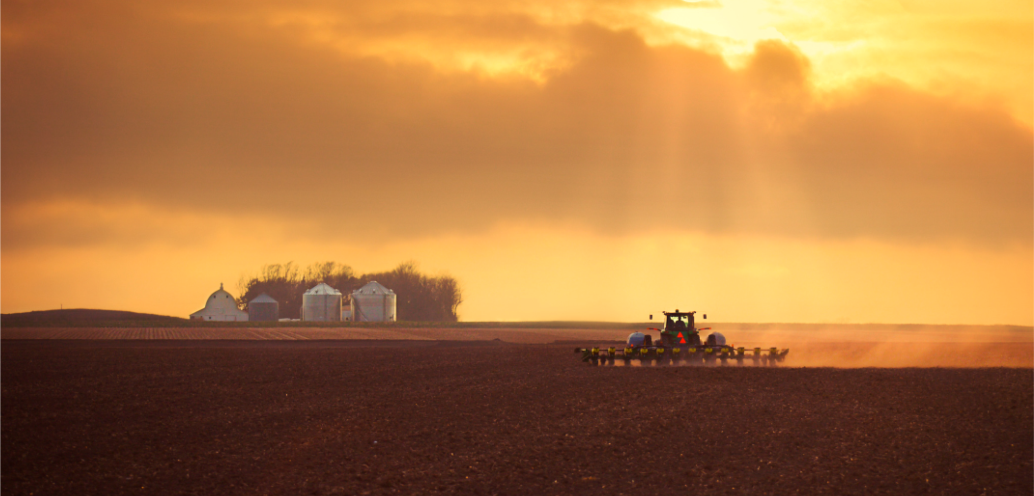 planting field in spring